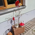 Wohlfuehlwohnung Rappottenstein